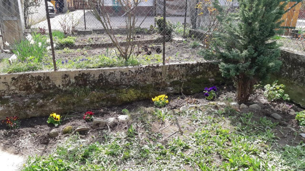 Casa Mascia Βίλα Cencenighe Εξωτερικό φωτογραφία