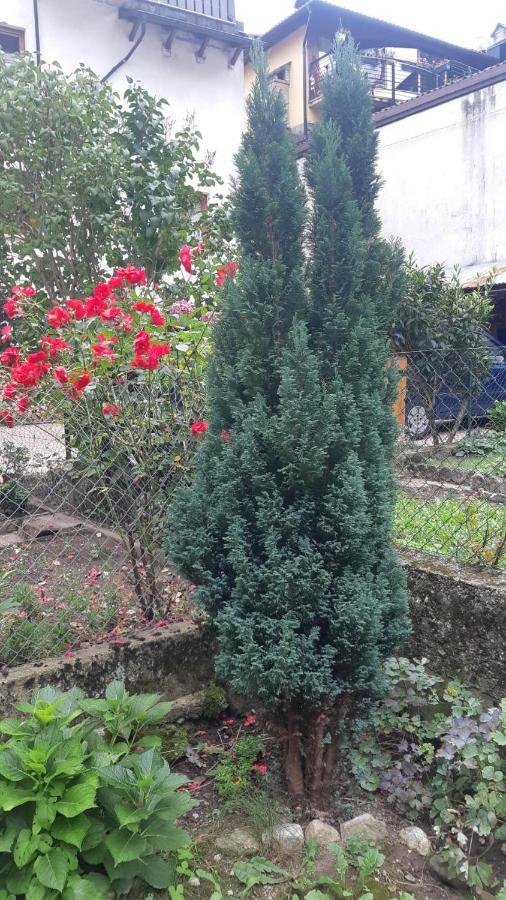 Casa Mascia Βίλα Cencenighe Εξωτερικό φωτογραφία